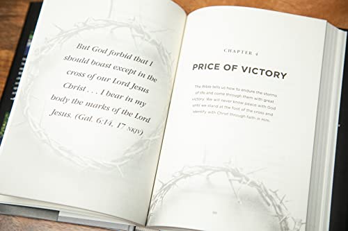 What Happened at the Cross: The Price of Victory